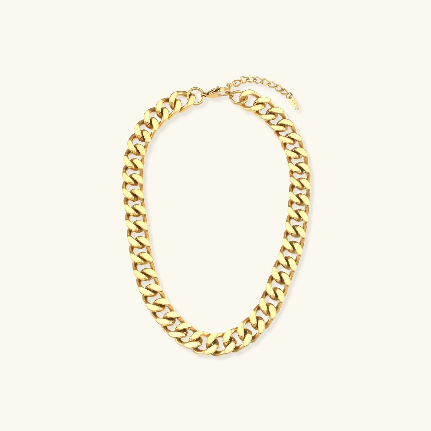 [Royal Vicky]Gianna Chunky Chain Necklace