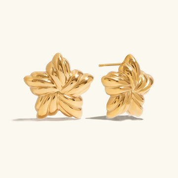 [Royal&Vicky]Thymes Gold Star Earrings