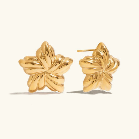 [Royal Vicky]Thymes Gold Star Earrings