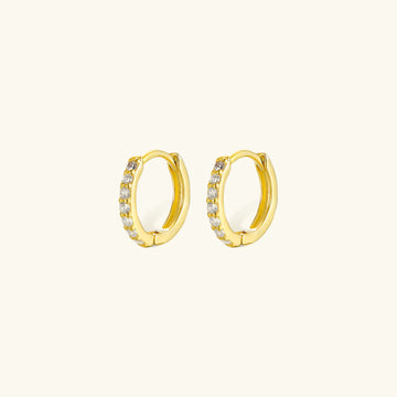 [Royal&Vicky]アレクサンドリア・ハギーピアス