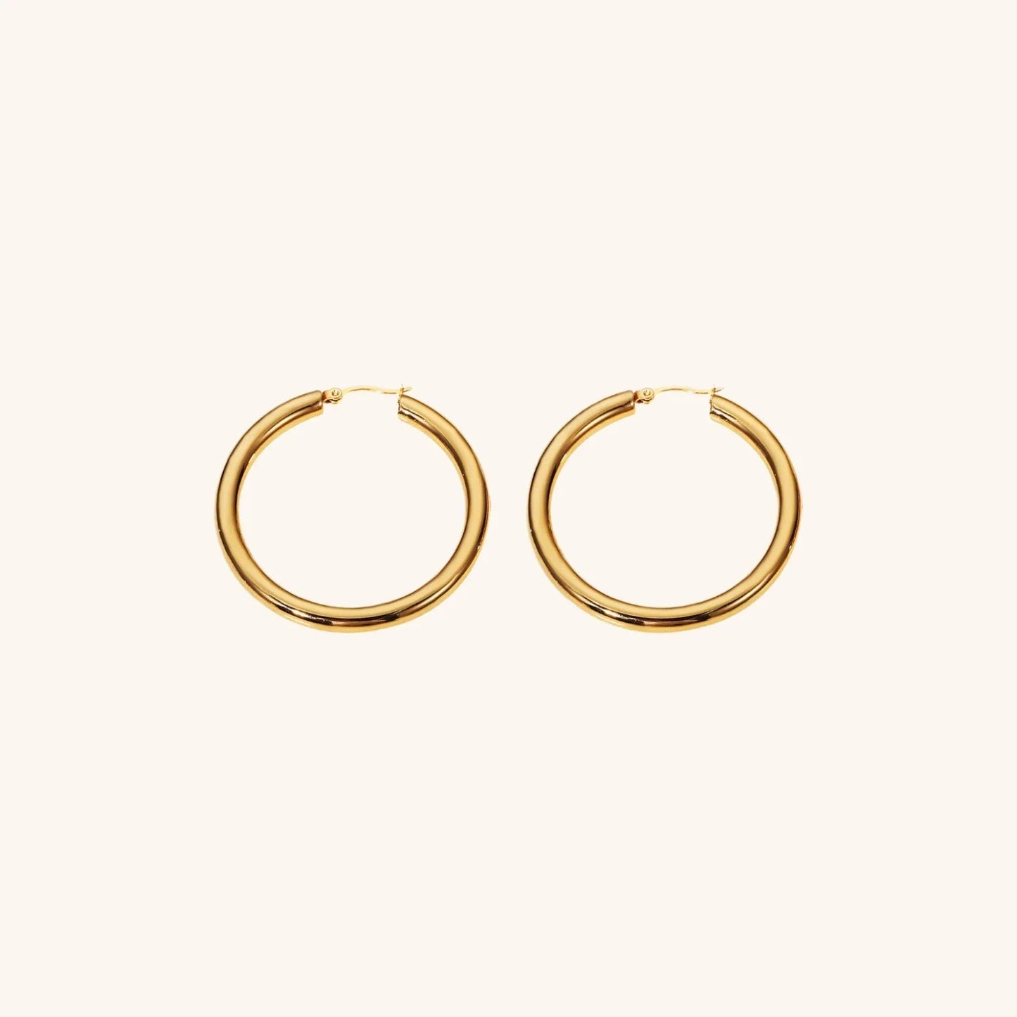 [Royal Vicky]Wide Hoop Earrings