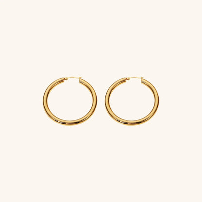 [Royal Vicky]Wide Hoop Earrings