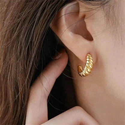 [Royal Vicky]Croissant Arc Earrings