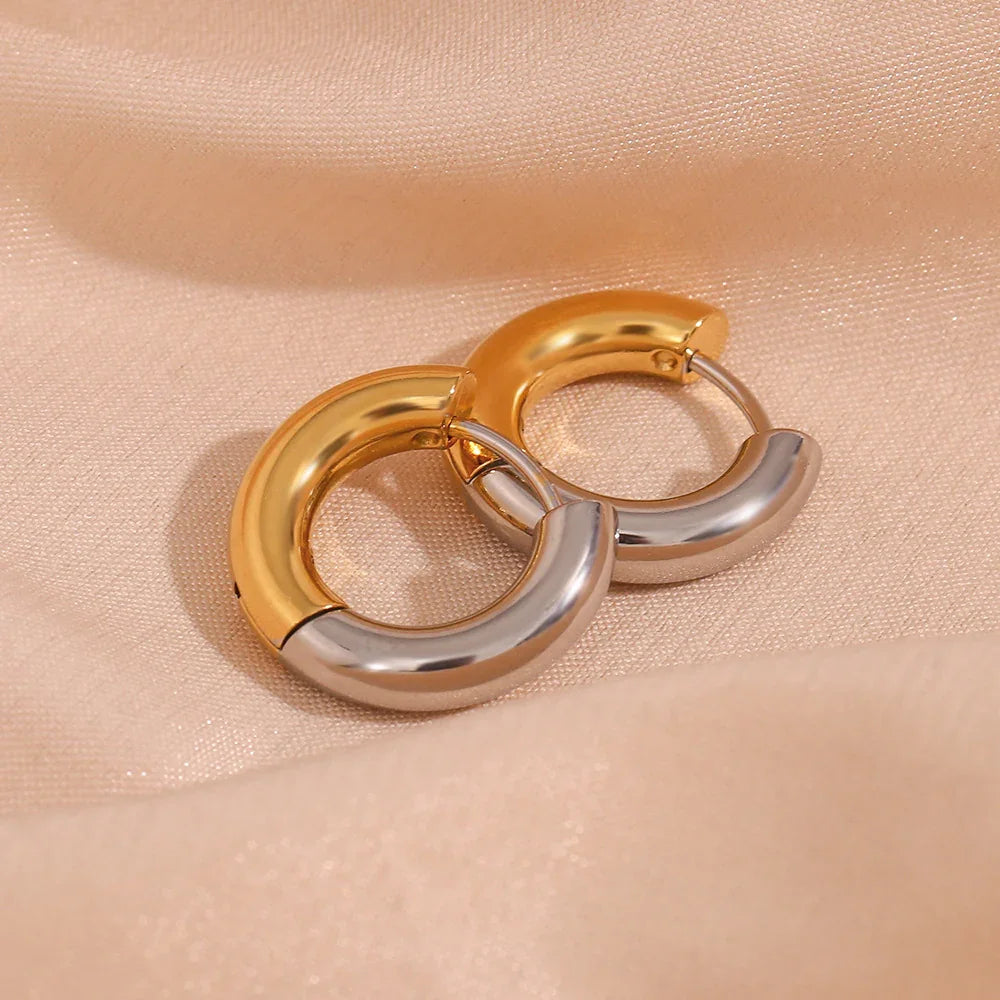 [Royal Vicky]Ingrid Two Tone Hoop Earring