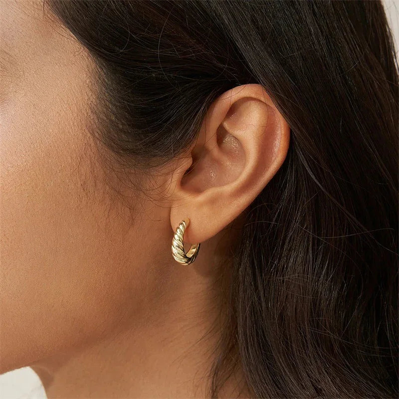 [Royal Vicky]Croissant Arc Earrings