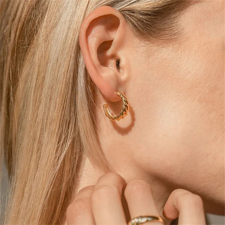 [Royal Vicky]Croissant Arc Earrings